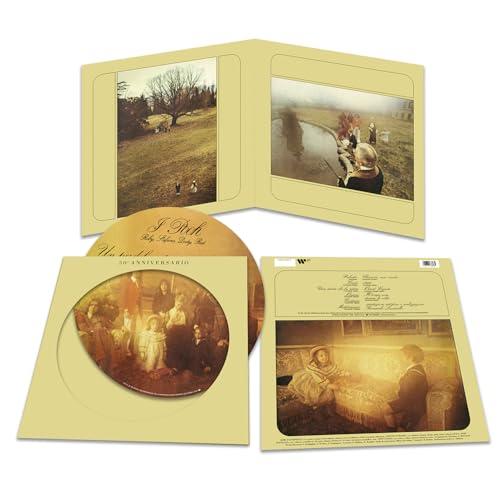 Un Po' Del Nostro Tempo Migliore (50 Ann.) - LP Picture Disc Limitata Numerata