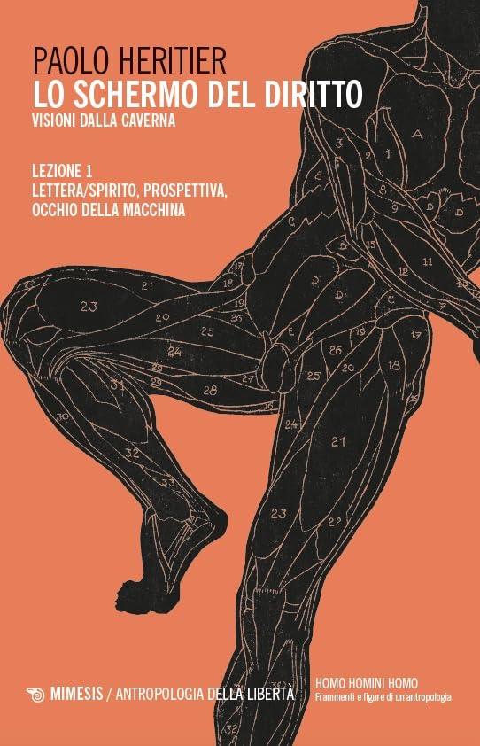 Lo schermo del diritto. Lettera/spirito, prospettiva, occhio della macchina (Vol. 1)