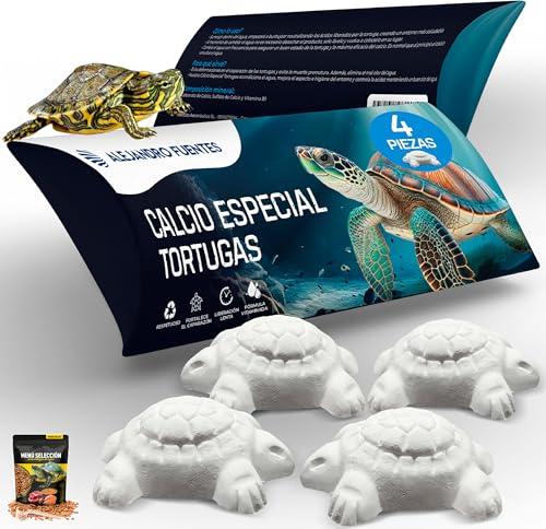 AF® - 4 Calcio per Tartarughe di Terra con Osso di Seppia