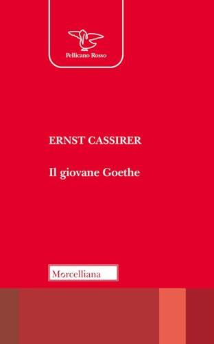 Il Giovane Goethe: L'inizio di un Genio Letterario