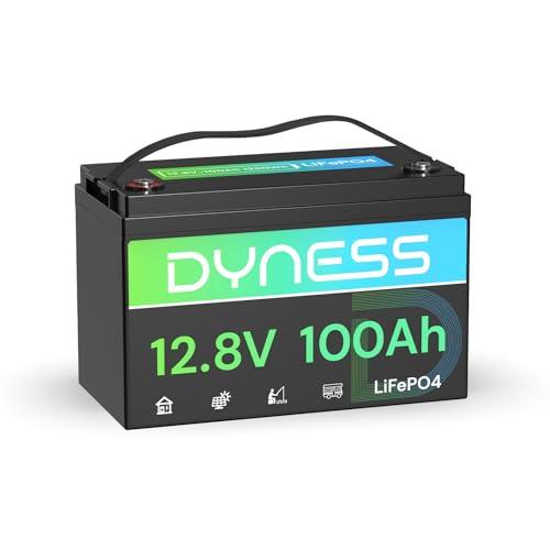 Dyness Batteria Litio 12V 100Ah LiFePO4
