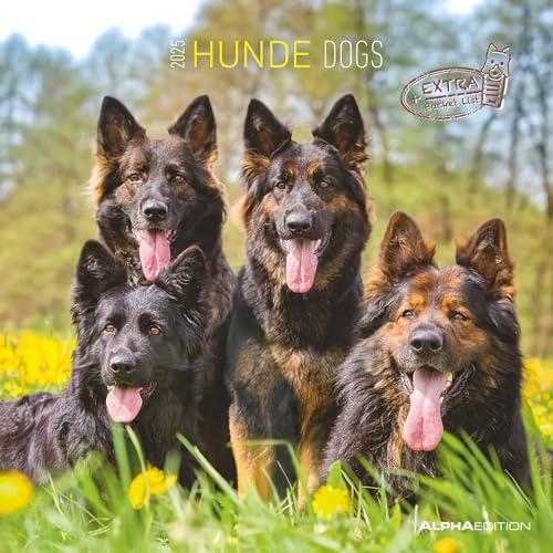 Calendario da Parete Dogs 2025 - 30x30 cm