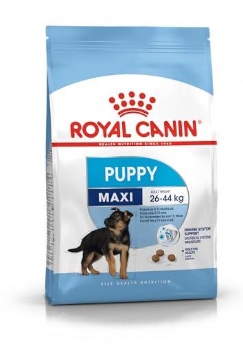 Royal Canin Alimento Cane Maxi Junior - 15 kg