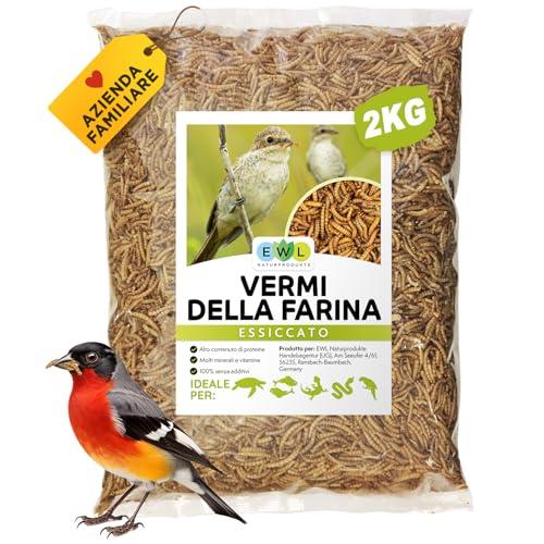 EWL Naturprodukte Vermi della Farina Essiccati, 2kg
