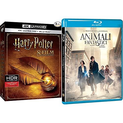 Harry Potter: Collezione Completa 4K Ultra HD (1-8) + Animali Fantastici e Dove Trovarli