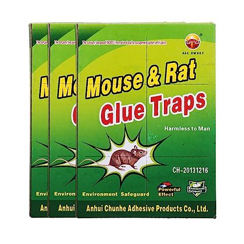 WeddHuis 3 Pezzi Trappola Adesiva per Topi - Nuova Edizione Professionale