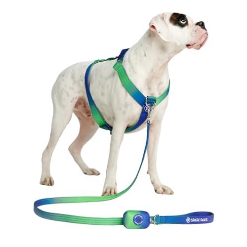 Spark Paws Pettorina per Cani Anti-Tiro Lime Taglia M