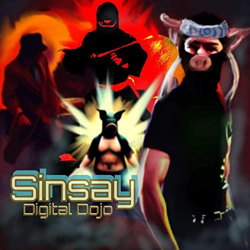 Sinsay: Digital Dojo