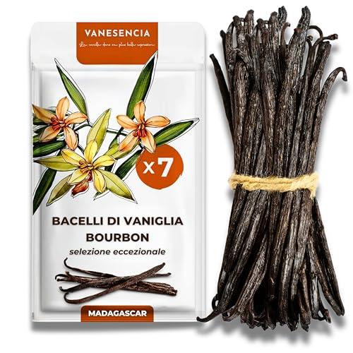 7 Bacche di Vaniglia Bourbon del Madagascar VANESENCIA