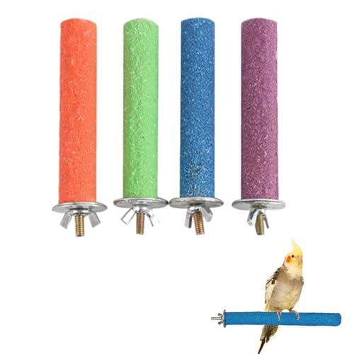 QEDBOJE 4 Pezzi Posatoio per Pappagalli, Giochi e Trespolo Accessori