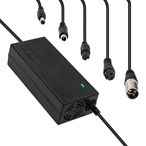 Caricabatterie 42V 2A per Bici Elettrica, Scooter e E-bike con Batteria Li-ion 36V 10S