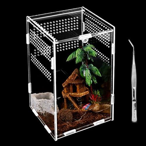 Terrario in Acrilico, 360° Trasparente Scatola di Alimentazione per Rettili con Pinzette, Staccabile Mini Terrario per Spide Lucertola Scorpion Centopiedi Rana Cornuta(20x12x12cm)