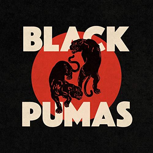 Black Pumas - Chronicles of a Diamond