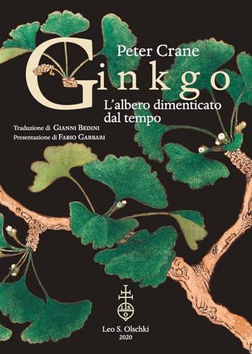 Ginkgo. L'albero dimenticato dal tempo