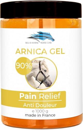 Gel Naturale Arnica Montana 90% Estratto BIO - 1000g