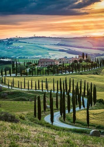 Ravensburger Puzzle Val d'Orcia Toscana 1000 Pezzi