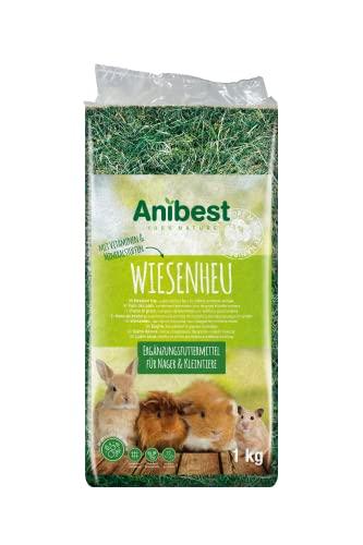 Anibest Fieno di Prato Naturale al 100% per Conigli, Criceti, Cavie e Altri Roditori e Piccoli Animali, Prodotto in Germania, 1 kg