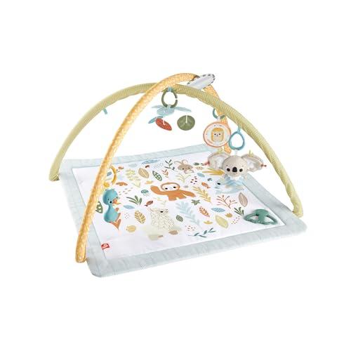 Fisher-Price Palestrina Multisensoriale per Neonati HRB15