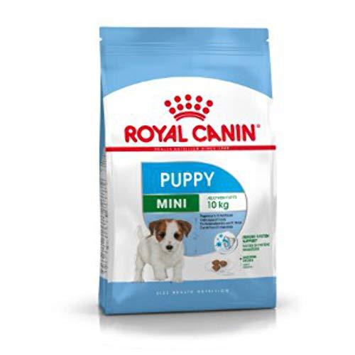 Royal Canin Mini Puppy 2 kg