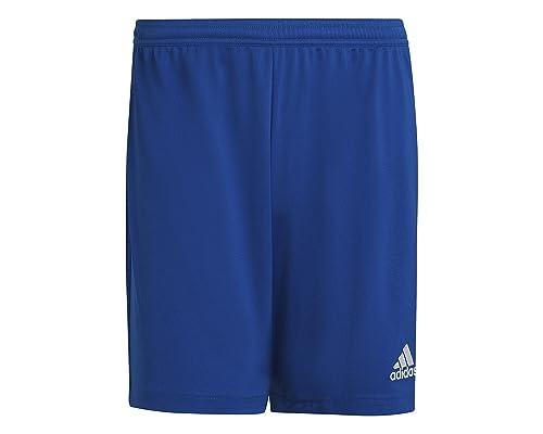 adidas Entrada 22 Shorts Uomo Royal Blue