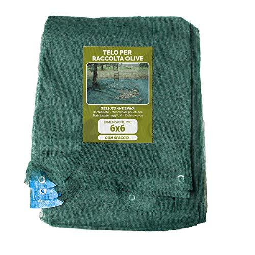 Telo Rete Raccolta Olive Antispina Pesante con Spacco, Angolo Rinforzato e Occhielli 6x6 Metri