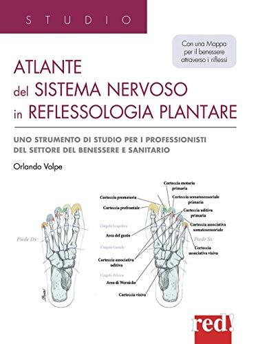 Atlante del sistema nervoso in reflessologia plantare