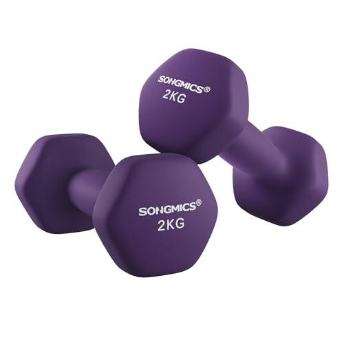 SONGMICS Set di 2 Manubri Esagonali in Vinile Viola Cenere, 2 x 2 kg