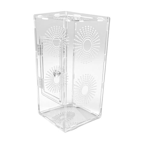 Terrario per Ragni Saltatori e Piccoli Rettili - Habitat Trasparente 30x15x15 cm