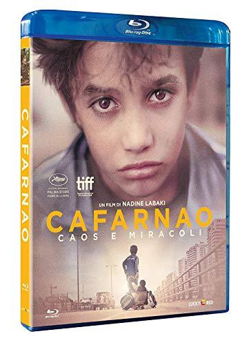 Cafarnao - Caos E Miracoli (DVD)