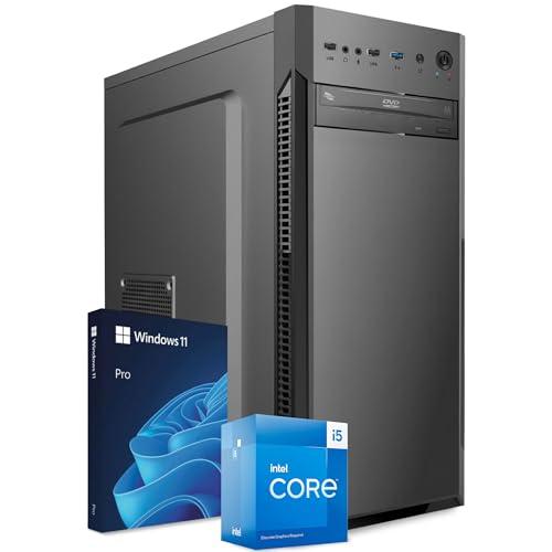 PC Fisso Completo - Computer Desktop Intel Core i5-14400 • RAM 32GB DDR4 • 1TB NVMe M.2 • Scheda Video GeForce GT 1030 4GB • Wi-Fi AC e Bluetooth • Masterizzatore DVD • HDMI • USB 3.0 • Windows 11 Pro
