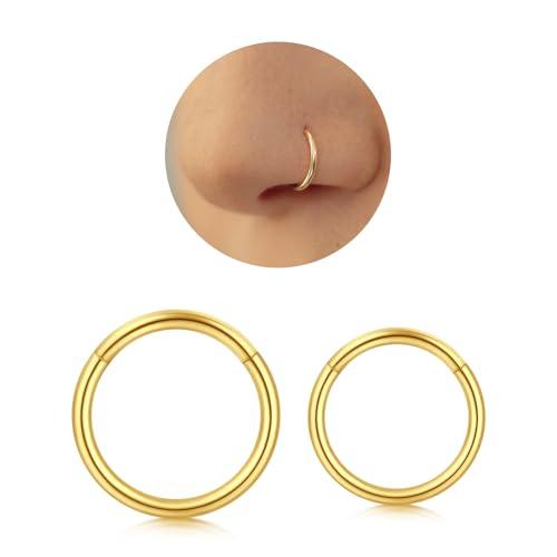 Longita 2 Pezzi 16G Hinged Clicker Ring Piercing Septum 316L Acciaio chirurgico Conch Helix Piercing Orecchini Naso Cartilagine Trago 6MM Oro