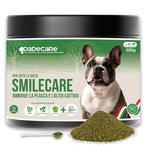 Smilecare - Polvere per alito cattivo 220 g alga Kelp