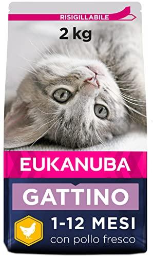 Eukanuba Kitten Ricco in Pollo Fresco - Alimento Secco Completo per Gattini