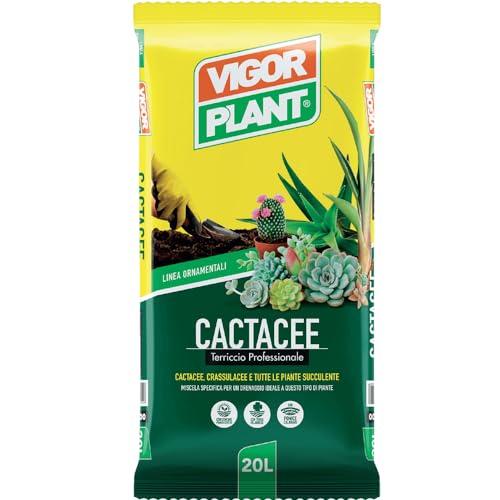 Terriccio Vigorplant per Piante Grasse 20lt