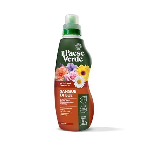 Sangue di Bue Il Paese Verde 1,2Kg