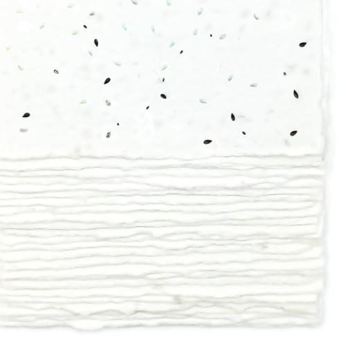 Biglietti Piantabili in Carta Fatta a Mano Pederini Paper - 13x18 cm, Bordi Irregolari, 300 g/m2