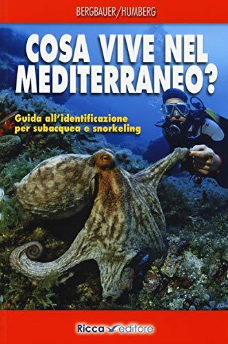 Cosa vive nel Mediterraneo? Guida all'identificazione per subacquea e snorkeling