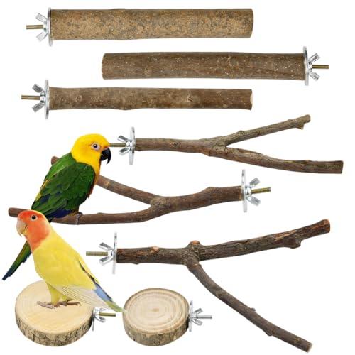 VGECEE Set di 8 Posatoi in Legno Naturale per Uccelli