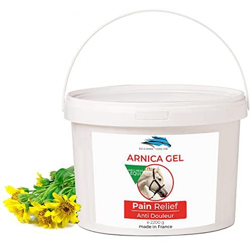 Arnica Gel FORTE & Concentrato 90% BIO - 2200g