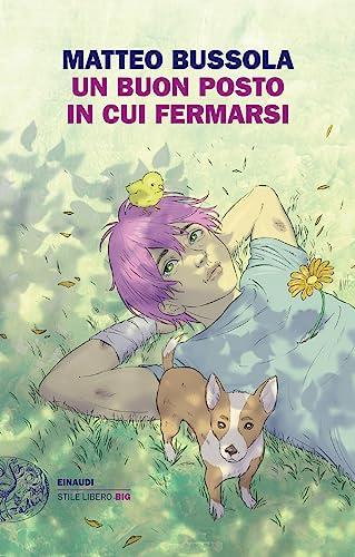 Un buon posto in cui fermarsi - Matteo Bussola - Einaudi