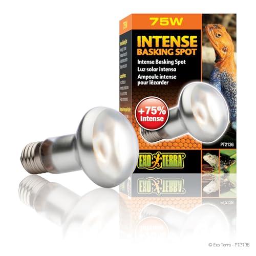 Exo Terra Intense Basking Spot 75W