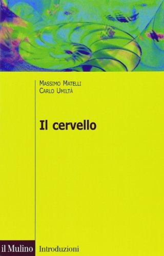 Il cervello. Anatomia e funzione del Sistema nervoso centrale