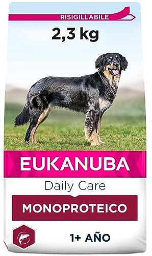 Eukanuba Daily Care Monoproteico Salmone - Alimento Secco per Cani Adulti