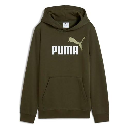 Felpa con Cappuccio Puma Ess 2 Color No. 1 Logo FL B