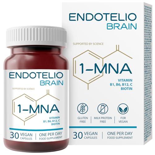 Endotelio 1-MNA Brain