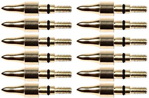 Namvo 12pcs 100grn Black Screw in Practice Punte di Freccia Punte di Freccia, Punti di Proiettile di tiro con L'Arco, Balestre