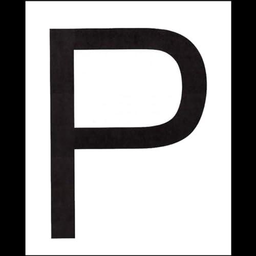 Start Contrassegno Principianti in PVC Statico per Auto