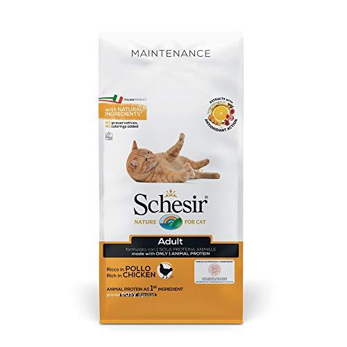 Schesir Adult Pollo - Alimento Secco Completo per Gatti Adulti