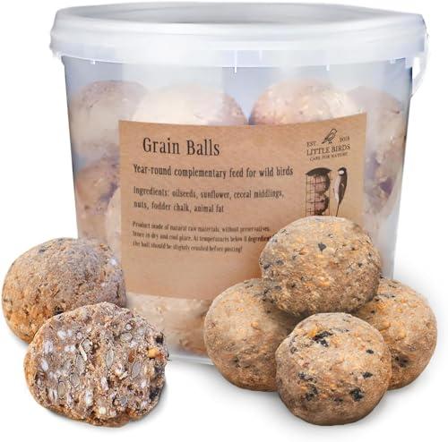 Care4Nature Palline di Grasso - Mangime Uccelli Selvatici - 30 Pezzi