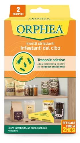 Orphea - Antitarme Alimentare, Elimina i Coleotteri degli Alimenti e ne Previene lo Sviluppo, Senza Insetticida, Inodore Azione Naturale, 2 Trappole Adesive